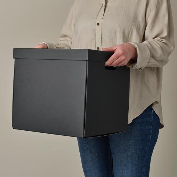 FJÄDERHARV Storage Box with Lid – Black, 12.5"x13.75"x12.25" – Affordable Storage Solution for Your Home